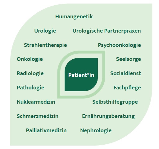 Kompetenznetzwerk des Interdisziplinären Nierenkrebszentrums 